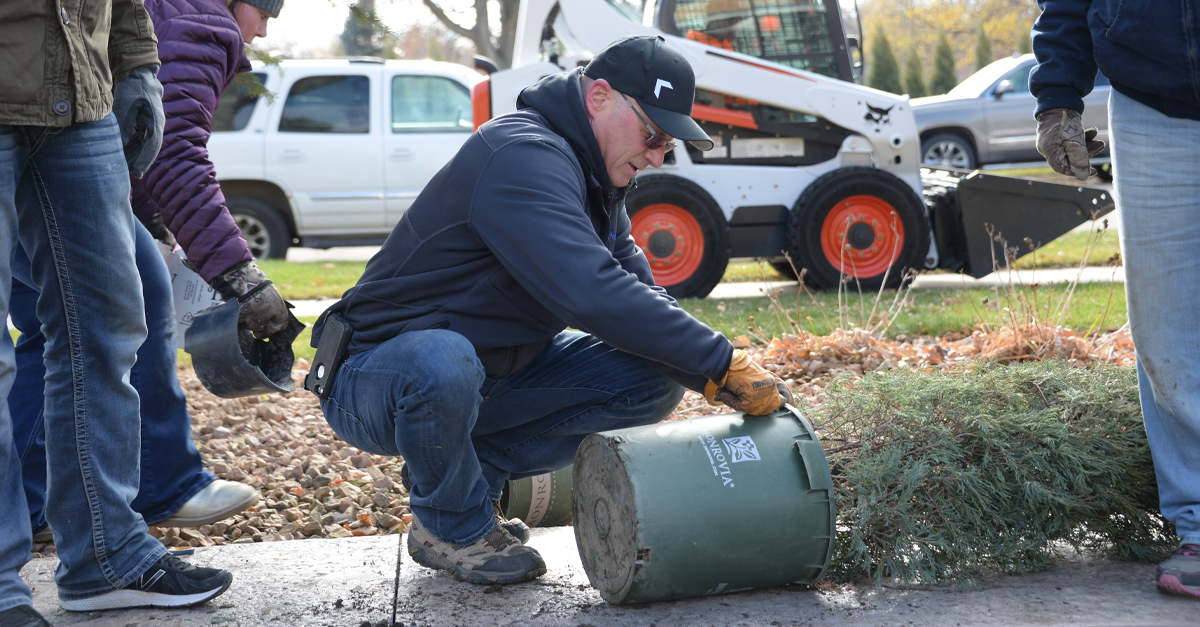 tree planting