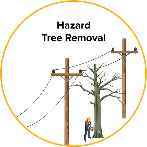 Illustration of risk tree removal