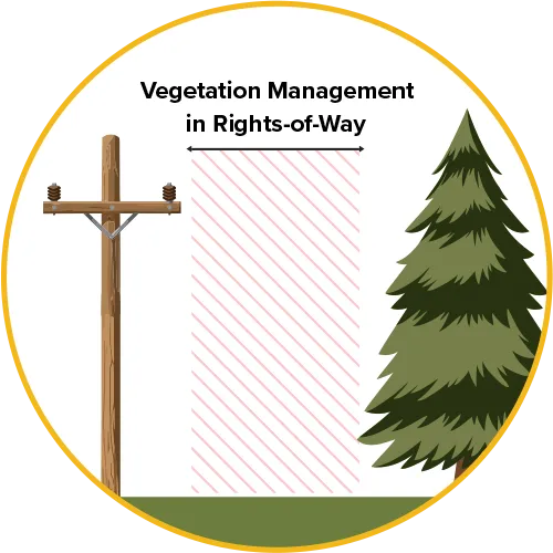 Illustration of vegetation management